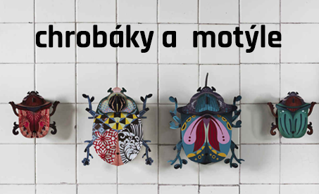 chrobáky a motýle